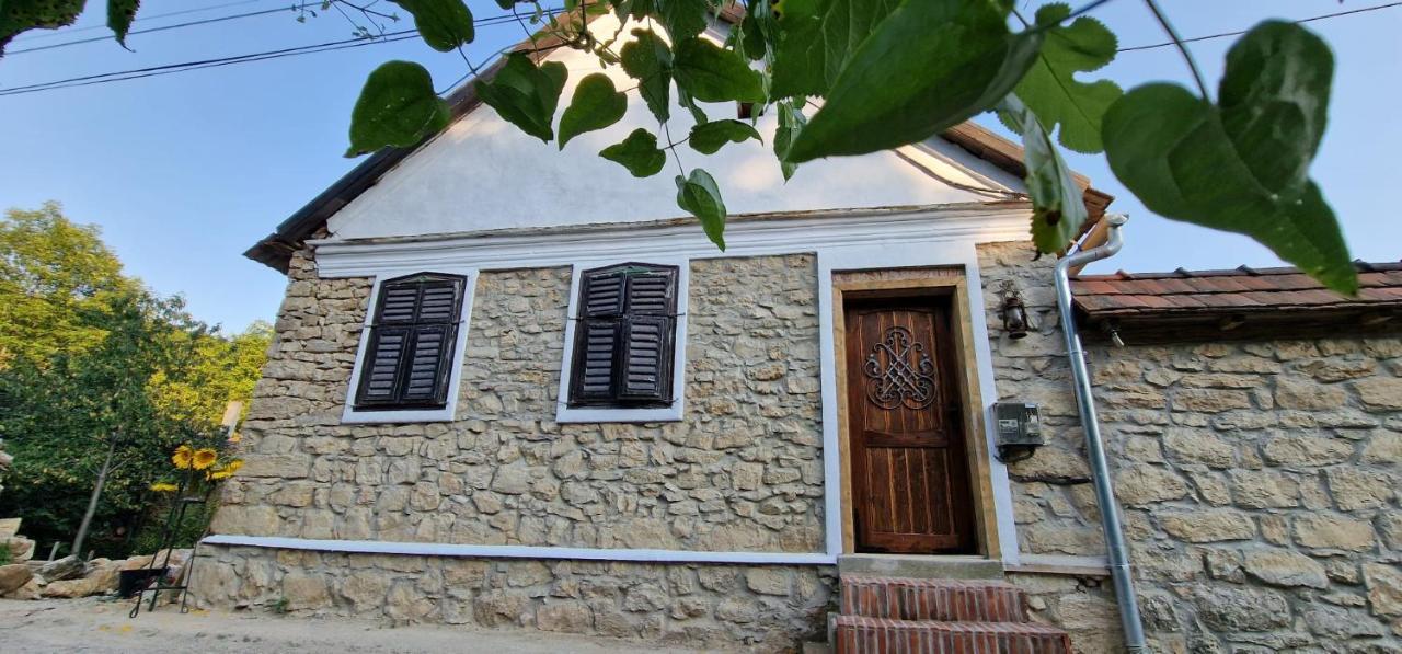 Villa Casageo Cheile Nerei Sokolar Exterior foto